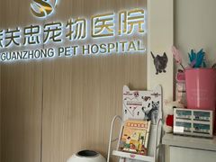 -瑞派·关忠动物医院·猫专科·犬专科(三环新城店)