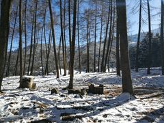 -硗碛藏寨·神木垒景区