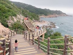 -广东惠东海龟国家级自然保护区