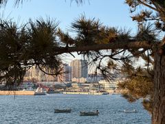 -中华人民共和国水准零点