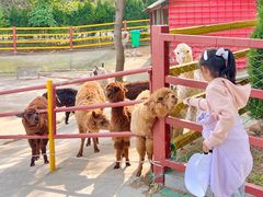 -西霞口神雕山野生动物世界