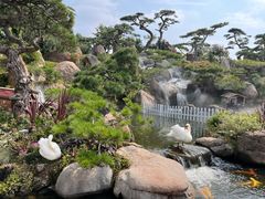 -罗红摄影艺术馆