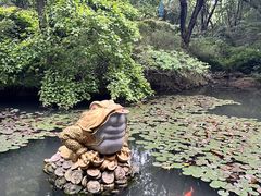 -句容茅山景区