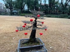 -申粤轩酒楼·三十年粤菜经典(丁香花园店)