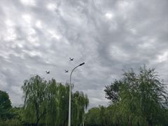 -绿堤公园