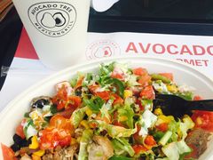-油梨树AVOCADO TREE(顺义新国展店)