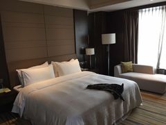 -扬州绿地铂骊酒店