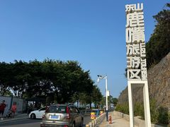-杨梅坑