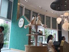 大堂-飞行喵MR PILOT|猫舍·猫咖(静安大融城店)