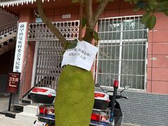 -西双版纳傣族园