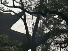 -西园戒幢律寺