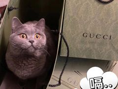 -Gucci(北京SKP店)