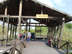 -溱湖国家湿地公园