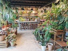 -自由生长植物工作室(深港花卉中心店)
