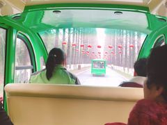 游乐设施-黄海国家森林公园