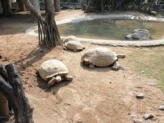 -广州长隆飞鸟乐园