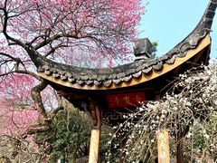 -杭州植物园