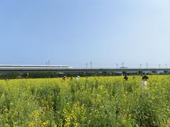 -光明小镇欢乐田园