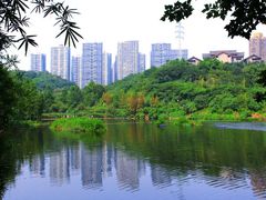 -重庆彩云湖湿地公园