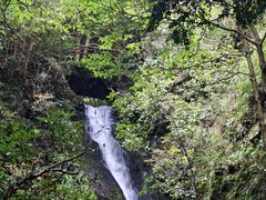 -夏霖九天银瀑风景区