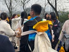 -重庆彩云湖湿地公园