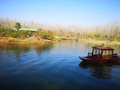 -合肥滨湖国家森林公园