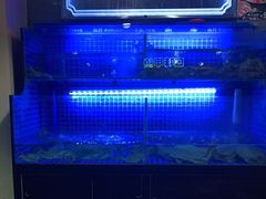-湘里乡亲甲王二老店