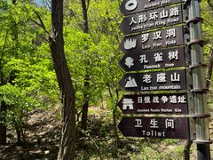 -金龙寺国家森林公园
