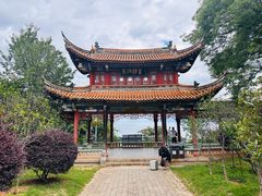 -洱海月湿地公园