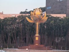 -金莲花广场
