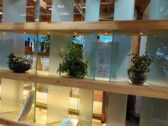 -霸王茶姬(南强街店)