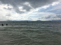 -珊瑚岛