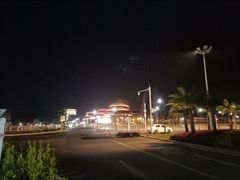 -野狸岛