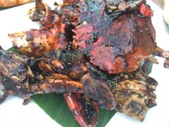 黑胡椒螃蟹-纽顿熟食中心