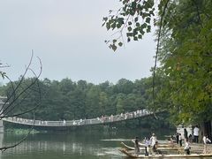 -东湖落雁景区
