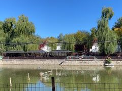 -尚庄度假村·庭台树下·户外烧烤·团建CS·轰趴营地(上庄水库店)