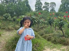 -白鹭湾湿地公园