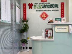 -悦宠凯宝动物医院·牙科·皮肤科(朝阳北路店)