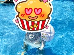 -青岛东方影都融创水世界