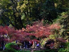 -岳麓山风景名胜区