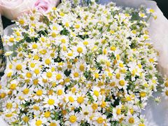 -双季花艺园艺市场(浦东店)