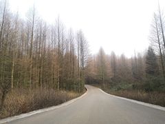 -山王坪喀斯特国家生态公园