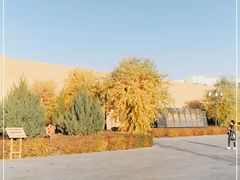 -敦煌市博物馆