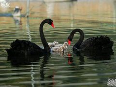 -同济大学(嘉定校区)