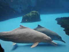 -珠海长隆海洋王国