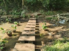 -句容茅山景区