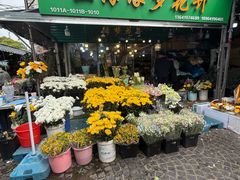 -曲阳花鸟市场(曲阳路店)