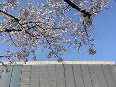 -龙美术馆(西岸馆)