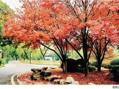 景点-堤角公园