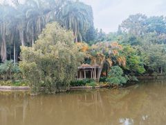 -滴水岩森林公园